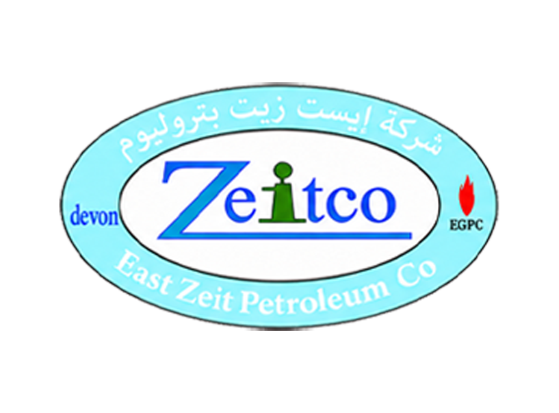 Client Logo 29